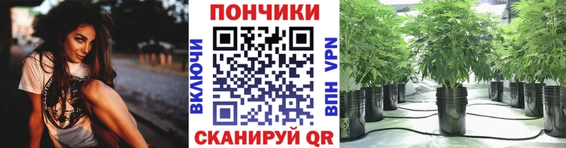 Марихуана конопля  цены наркотик  mega   Инсар 